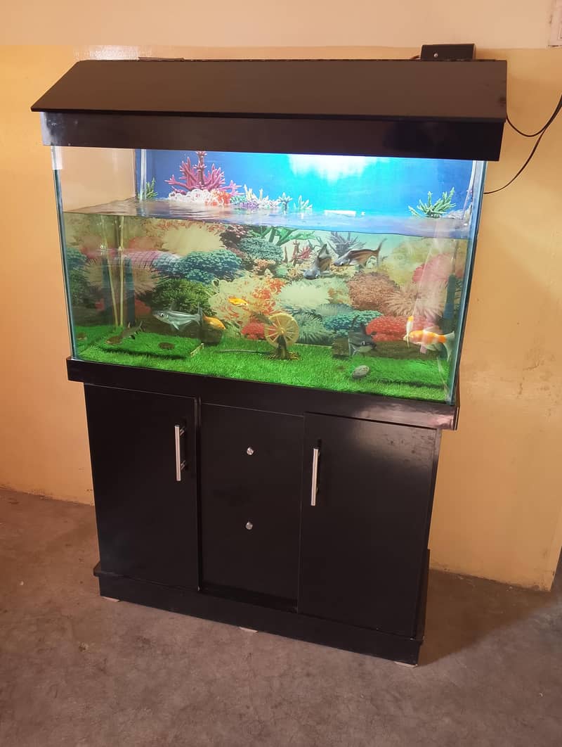 fish aur aquarium 4