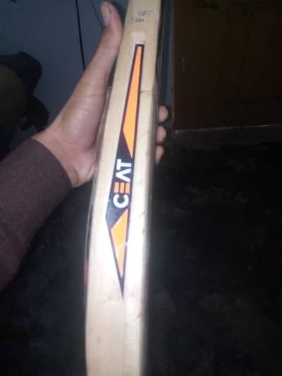 Cricket bat