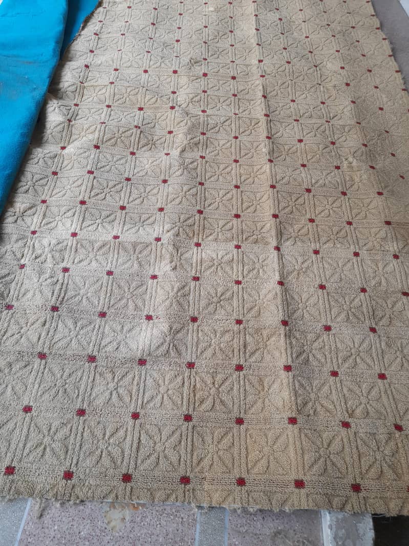 carpet 1