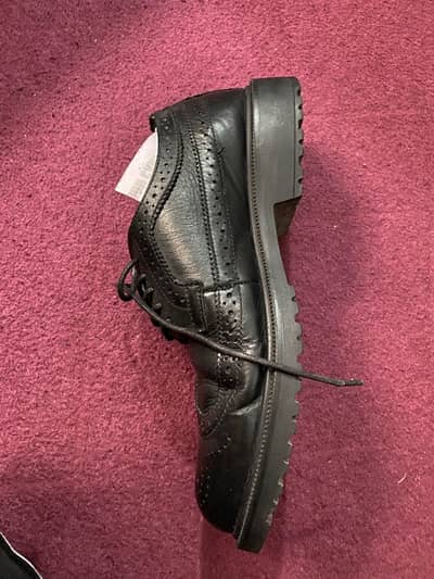 Don Carlos Formal Wear