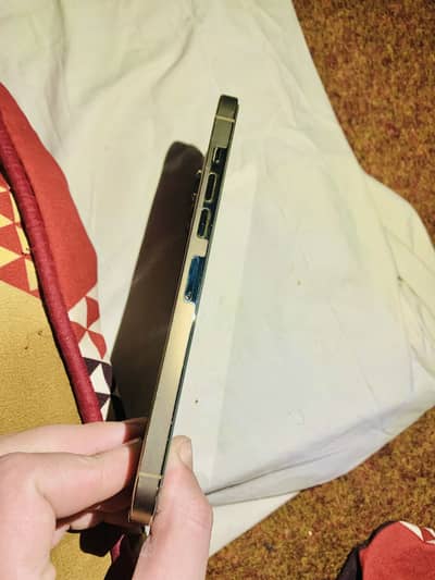 iPhone 13 Pro mix pta prof