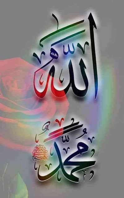 M. Shafaat