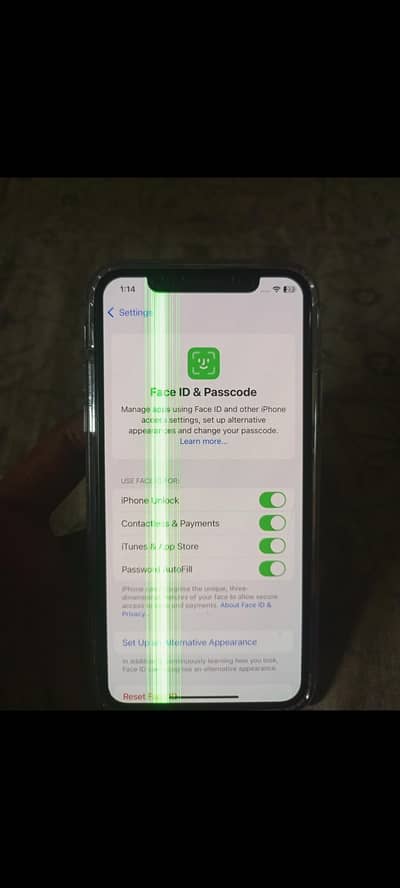 iphone xs original panel