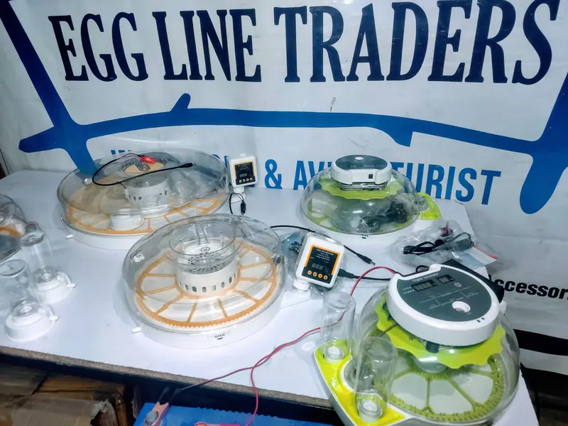 INTELLEGENT ( CLSSIC ) EGG INCUBATOR — photo 5