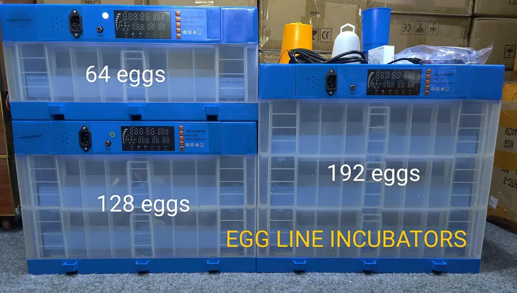 INTELLEGENT ( CLSSIC ) EGG INCUBATOR — photo 9