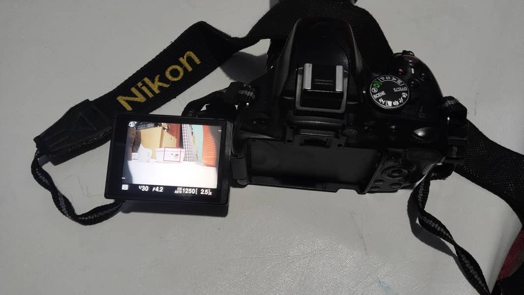 Nikon camera 1
