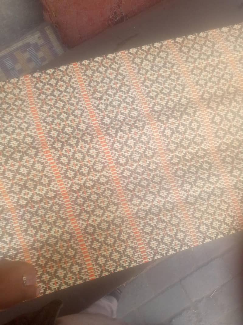 bambo chick blinde 0