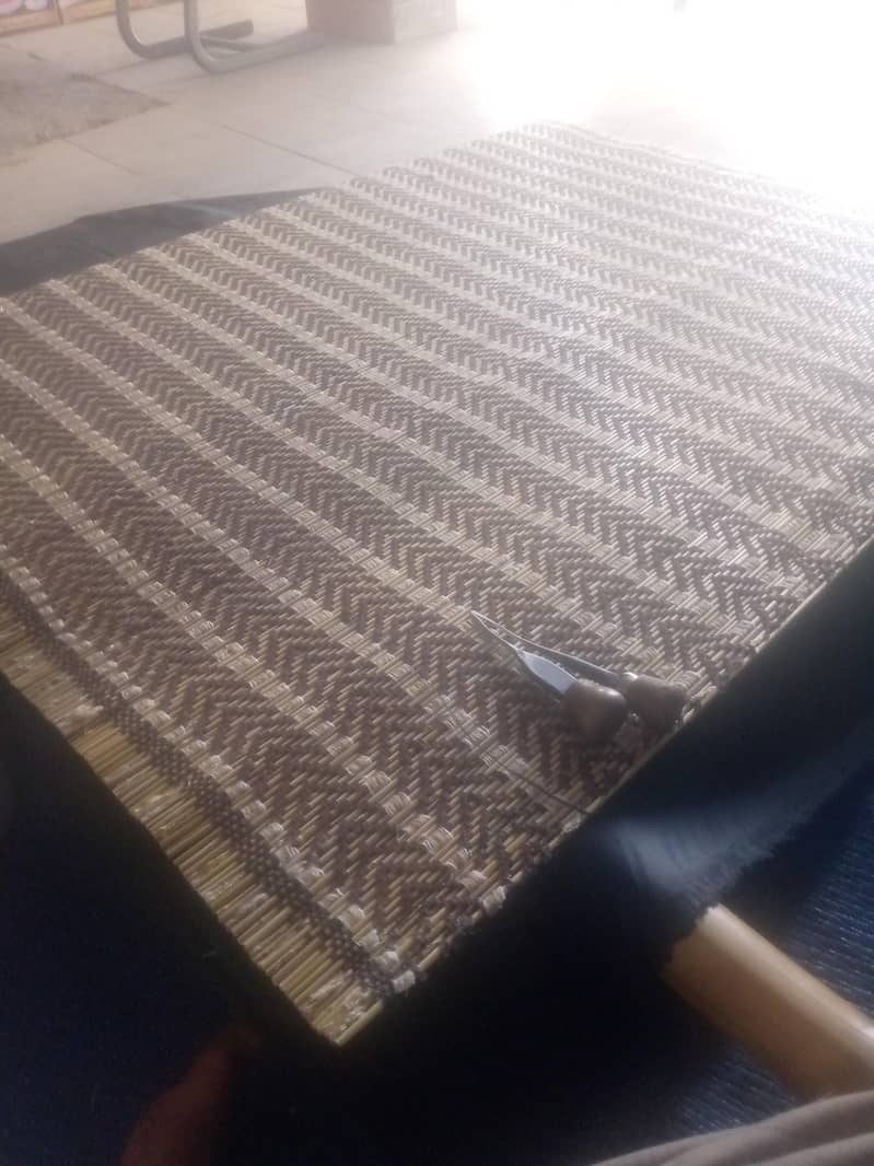 bambo chick blinde 1