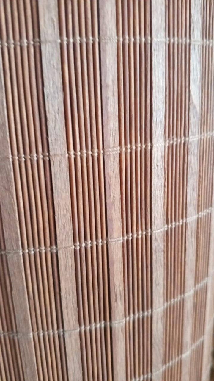 bambo chick blinde 12