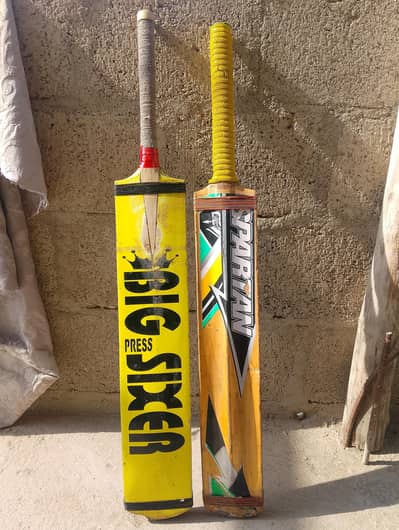 Cricket Bat