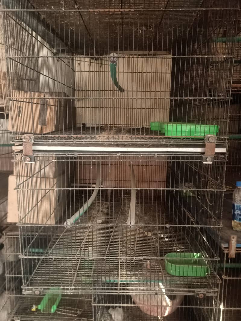 چار بریڈنگ کیجز باکس اور مٹکی سمیت برائے فروخت 0