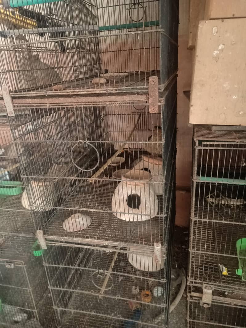 چار بریڈنگ کیجز باکس اور مٹکی سمیت برائے فروخت 2