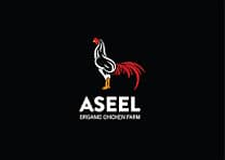 Aseel murga seller