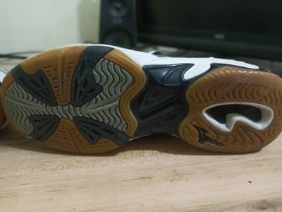 Badminton indoor Court Shoes Mizunu