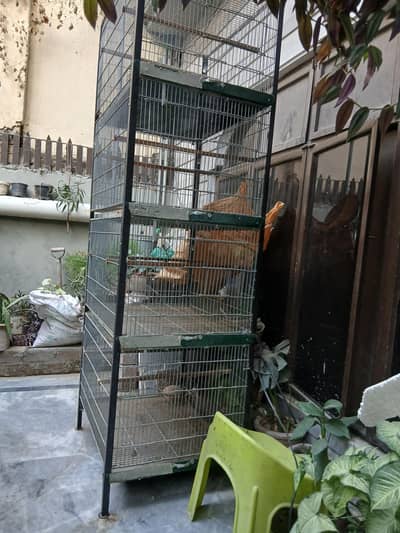 parrot cage