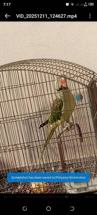 Whatsapp 03438667400