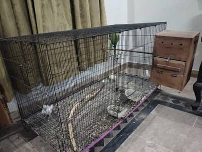 Cages For Sale