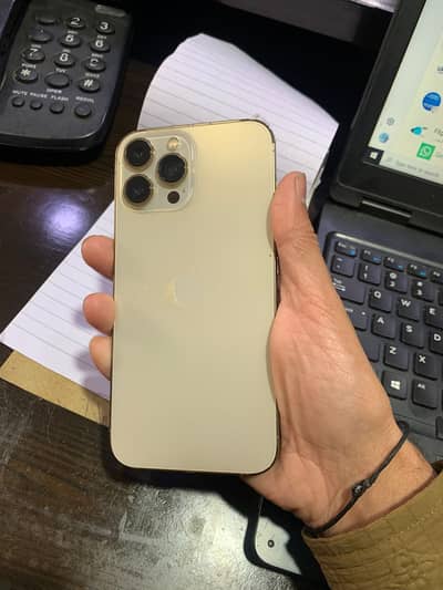 Apple iPhone 13 Pro Max