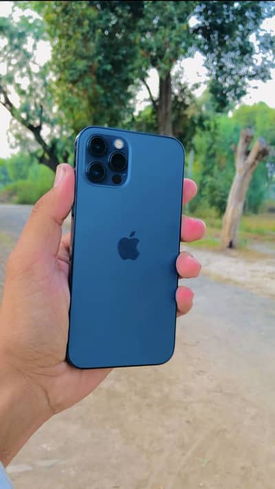 iPhone 12 pro 128 GB for sale urgent 10/10