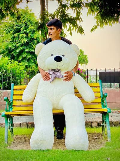 Teddy bear/Gaint teddy/Gift /Imported teddy/03254187063