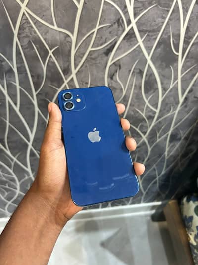 iPhone 12 256gb