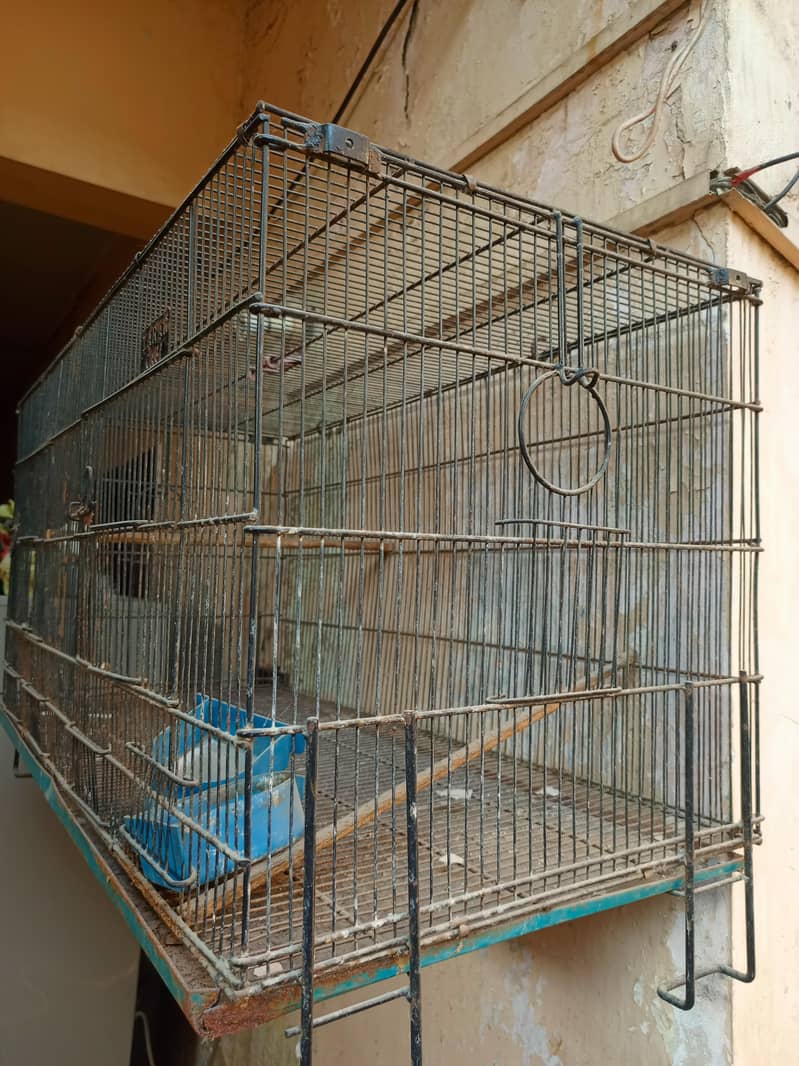 Zarar Cage 0