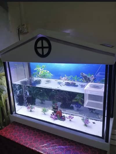 Fish aquarium for sale with all accessories