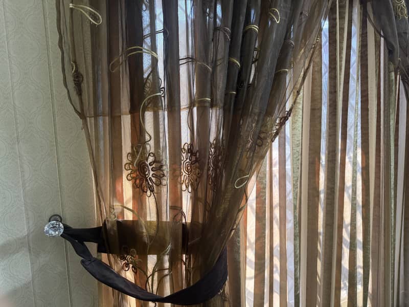 Window curtains 1
