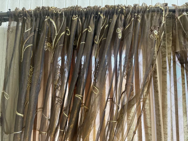 Window curtains 2