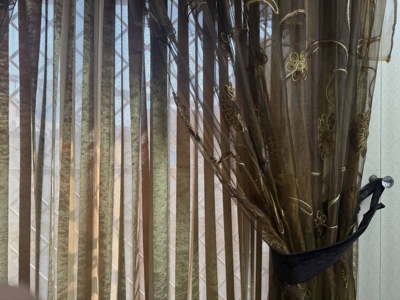 Window curtains 3