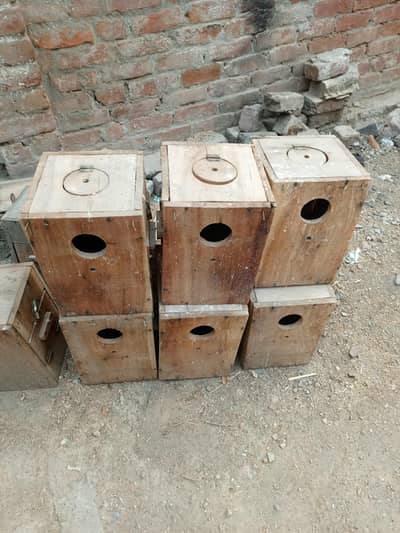 Love birds breading box