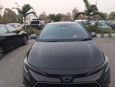 Toyota Corolla hybrid wxb 2021