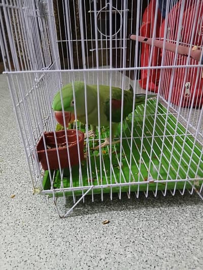 raw Kashmiri hand tam