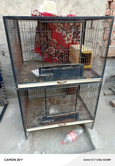 Cage for sale