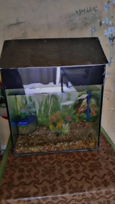 urgent sale aquarium