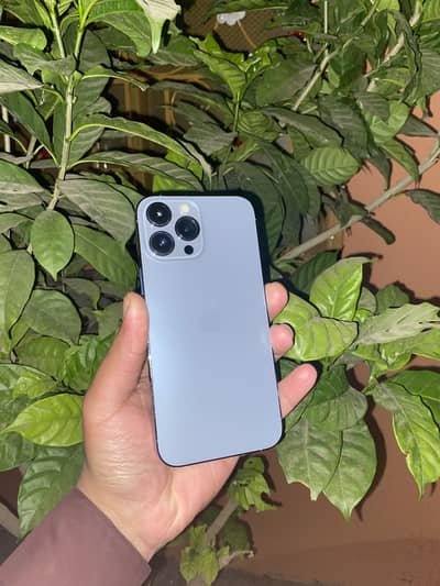 IPHONE 13 PRO MAX/CONDITION ALMOST WATERPACK/O305-217958O