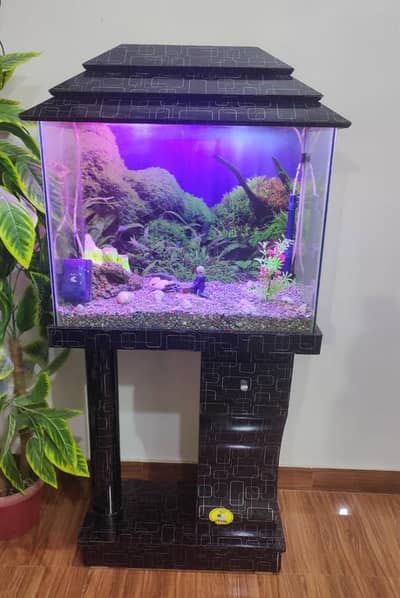 Fish aquarium with filter