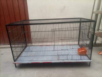 birds cage