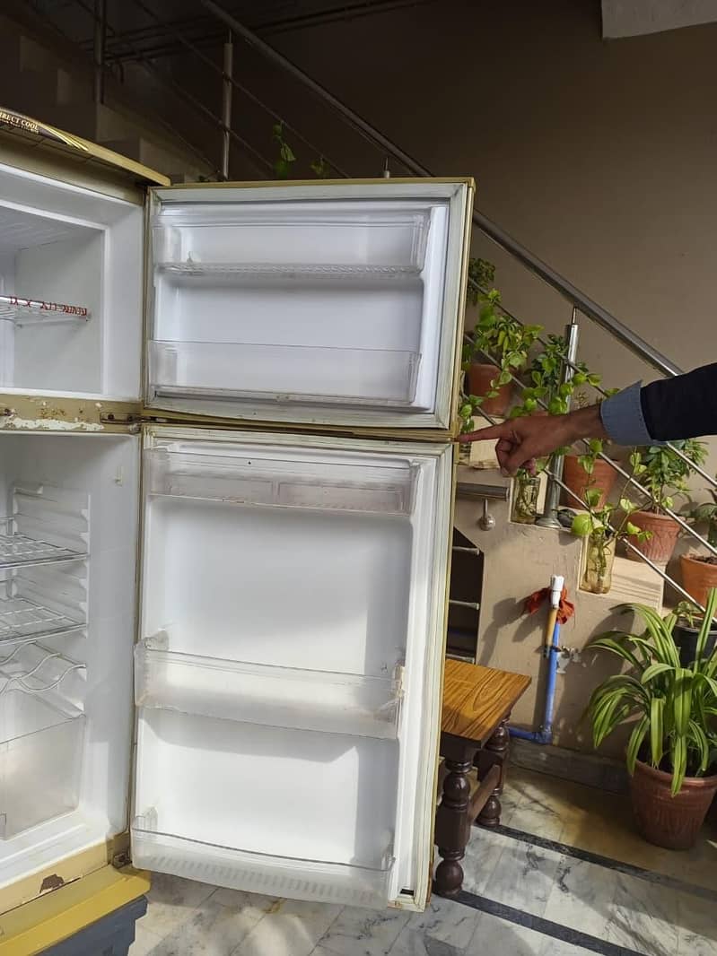 Waves Refrigerator 3