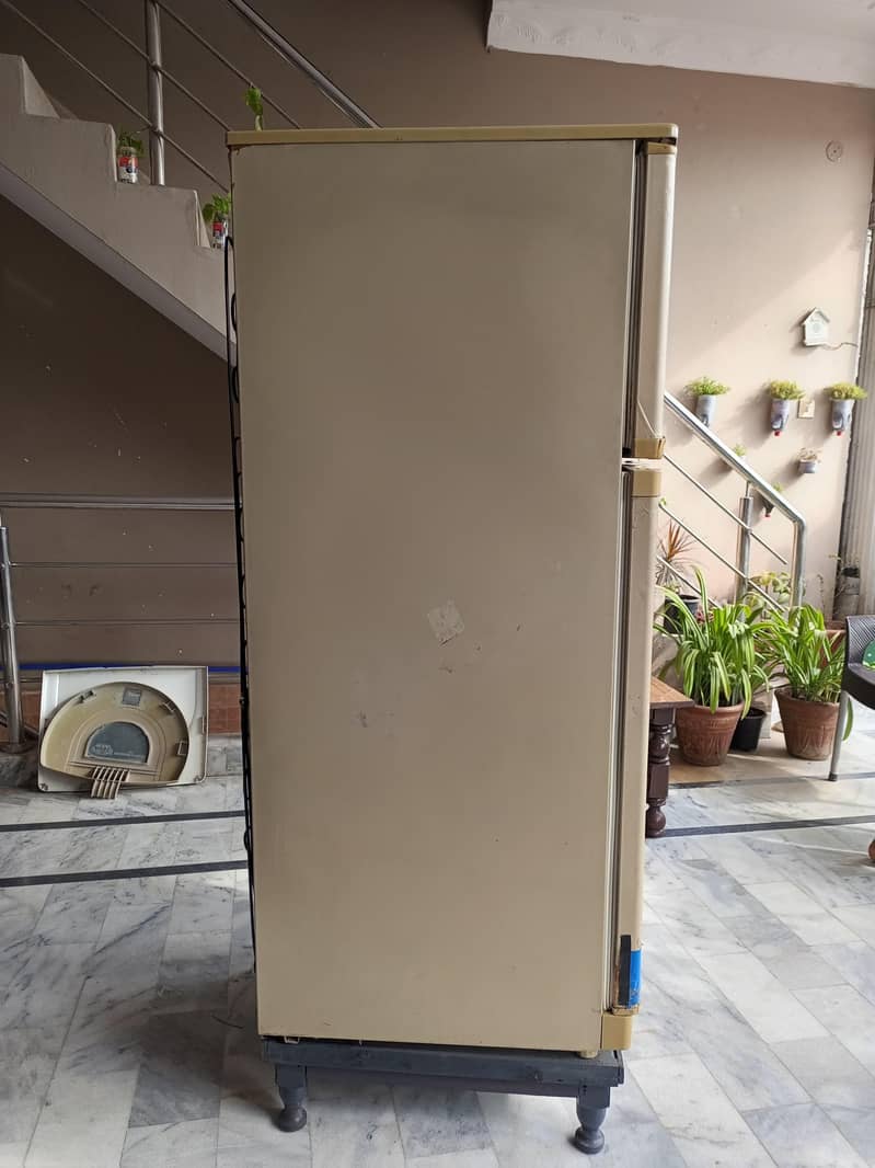 Waves Refrigerator 4