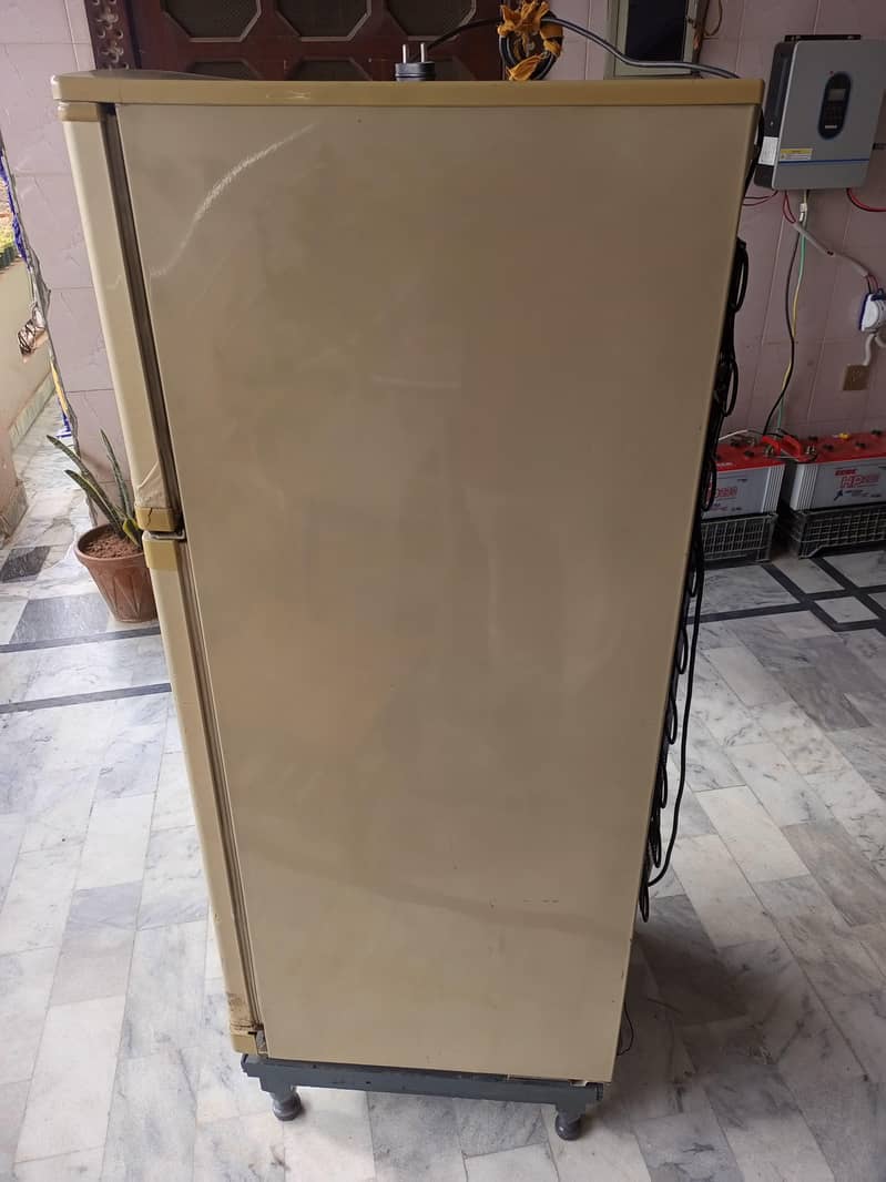 Waves Refrigerator 5