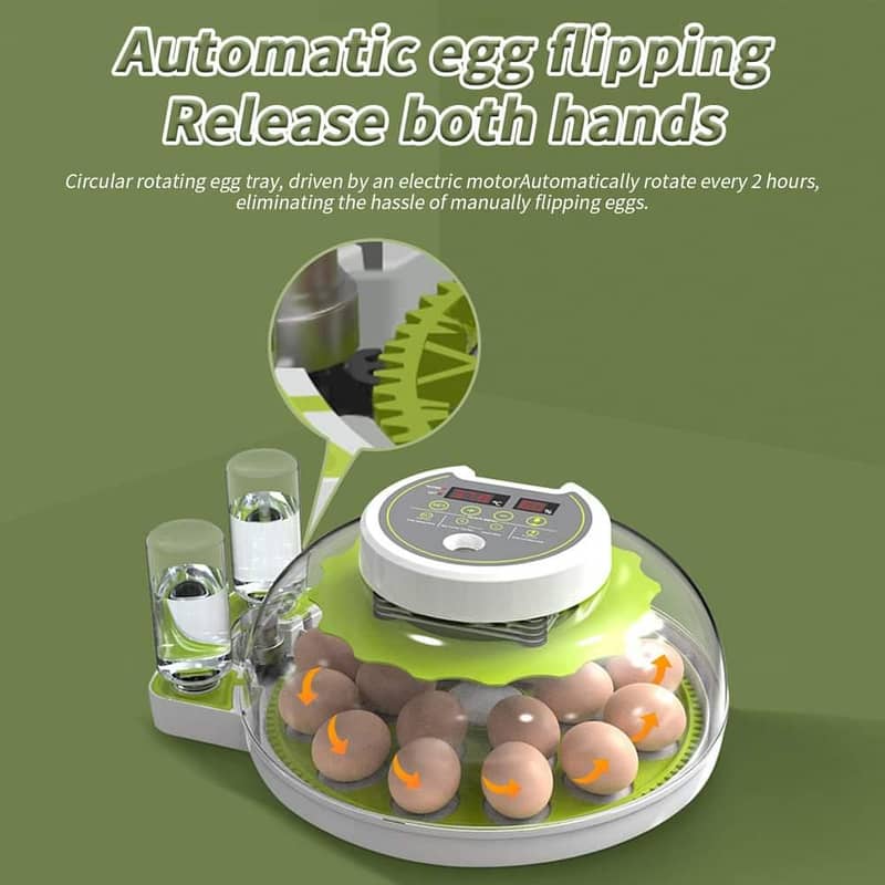 26 EGG ncubator | eggs hatching machine 3