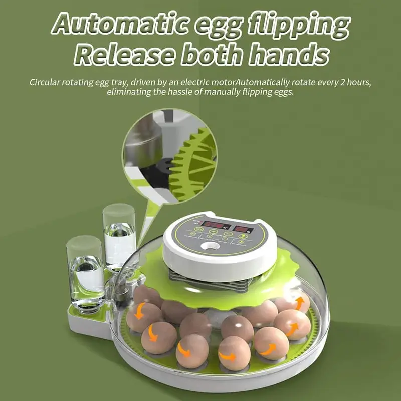 26 EGG INCUBATOR RS 11500 /incubator | eggs hatching machine — photo 4