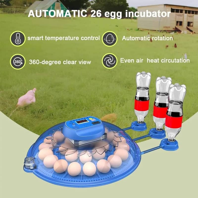 26 EGG ncubator | eggs hatching machine 5