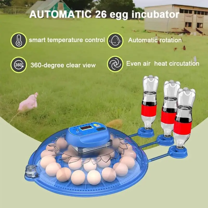26 EGG INCUBATOR RS 11500 /incubator | eggs hatching machine — photo 6