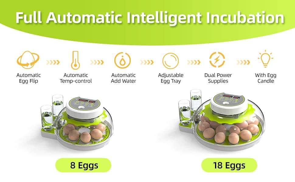 26 EGG ncubator | eggs hatching machine 8
