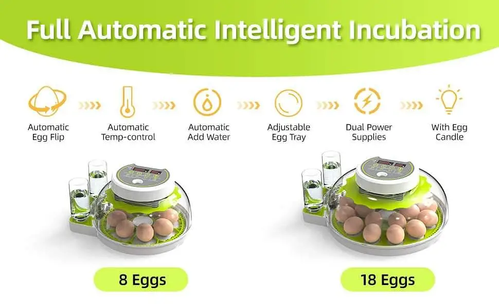 26 EGG INCUBATOR RS 11500 /incubator | eggs hatching machine — photo 9