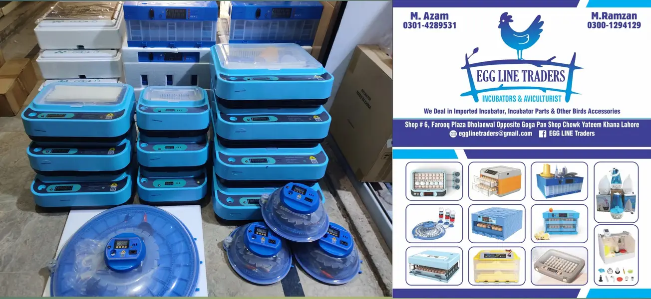 26 EGG INCUBATOR RS 11500 /incubator | eggs hatching machine — photo 10