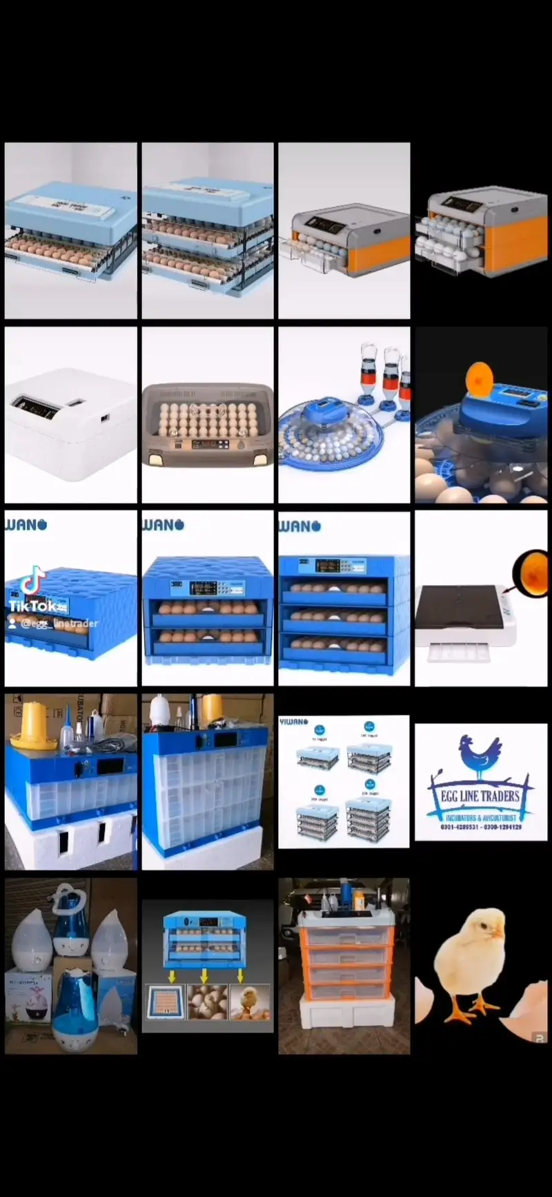 26 EGG INCUBATOR RS 11500 /incubator | eggs hatching machine — photo 11