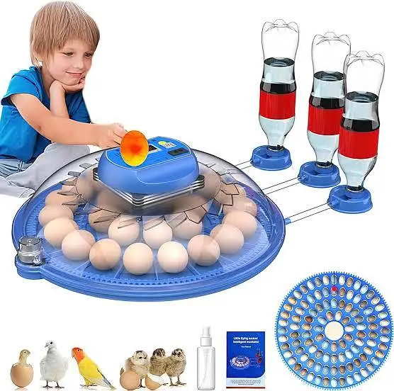 26 EGG INCUBATOR RS 11500 /incubator | eggs hatching machine — photo 12